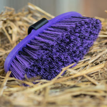 Laden Sie das Bild in den Galerie-Viewer, Haas "Pferdebürsten meets BinieBo" Set - Biniebo